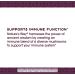 Nature's Way Immune Blend 1600mg - 90 Vegetarian Capsules for Optimal Health - Buy Online on GoSupps.com