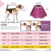 VAVOPAW Adjustable Protective Dog & Cat Collar - Breathable Elizabethan Neck Band Leak Protection for Post-Op Dogs Size L - Rose Red Magenta - Buy Online on GoSupps.com