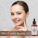 Kanzy Rosehip Oil for Face 120ml Rosehip Oil Organic Cold Pressed Rose Hip Oil for Face 100% Pure Vegan Cruelty Free for Skin Hair Nails and Body for Nourishment Dryness Fine lines and Scars 120 ml (Pack of 1) - Buy Online on GoSupps.com