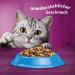 Whiskas Adult 1+ Cat Dry Food with Tuna - 3 Bags (3x3.8kg) | High-Quality Nutrition for Cats 1 Year & Older - Buy Online on GoSupps.com