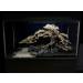 Aquarium Wood Bonsai Tree Decoration Premium Pieces Aquascaping Root Iwagumi Tree L 30x25x20cm - Buy Online on GoSupps.com