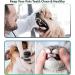 AFTREN Double Headed Tarter scraper Dental Tooth Scaler Plaque Remover (Perfect for Cats and Dogs) Stainless Steel Teeth Cleaning Tool (Silver) - Buy Online on GoSupps.com