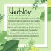 Organic Ear Oil for Infections - Natural Eardrops for Prevention in Kids, Adults, Babies & Dogs - Made in USA - Buy Online on GoSupps.com