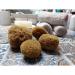 Menstrual Sponges - 4 Unbleached Eco-Friendly Pieces with Needle & Cotton Cord | Alternative to Pads & Tampons | Aristos - Buy Online on GoSupps.com