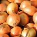 Alpi Investment OOD Alpi Nature Onion Granules 1 kg onions GROORULIED OUIDEN 100 Natural in soft dried onions naturally without additives vegan onion granules - Buy Online on GoSupps.com