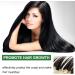 Hair Loss Shampoo for Women Strengthening Plant Shampoo for Thinning Hair Natural Strengthener for Dry Oily Damaged Fine Curly Long Short Sensitive Hair Home Shower Travel - Buy Online on GoSupps.com