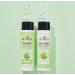 J.R. Watkins Daily Hydration Conditioner Aloe & Green Tea 354ML - Buy Online on GoSupps.com