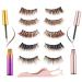 6D Magnetic Eyelashes Brown  Black and Brown Magnetic Eyeliner  5 False Eyelashes  Set of Tweezers(5 pairs  Brown)