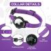 Premium Purple Airtag Cat Collar with Safety Lock & Elastic Band for Kittens and Puppies (23-33cm) - Bright Apple Air Tag Holder | International Shipping Available - Buy Online on GoSupps.com