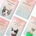 Cats Against Anxiety Cards - 50 Self-Esteem & Stress Affirmation Cards by Catchyourdreams: Oracle Tarot Self-Therapy for Anxiety Emotions - Buy Online on GoSupps.com