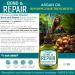 Hair Chemist Bond & Repair Scalp Stimulator 7.1 oz | Leave-in Hair Root Treatment for Healthy Scalp - International Shipping Available - Buy Online on GoSupps.com