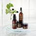 ApotheCARE Essentials Phytoyoung Firming Serum 1 Fl Oz - Anti-Aging Skin Care for Youthful Glow | International Shipping Available - Buy Online on GoSupps.com