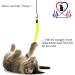 Pet Fit For Life 5 Piece Replacement Worm Pack for Cat Toy Wands - Buy Online on GoSupps.com