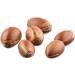 Buy 100 ml Argan Oil for Skin & Hair | Natural Cold-Pressed Vegan | Animal Test-Free | Made in Germany - Buy Online on GoSupps.com