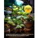 Tobebright UVB Birne E27 26W - Best UVB Reptile Terrarium Lamp for Turtles Snakes & Aquariums - AC220-240V UVB 5.0 - Buy Online on GoSupps.com
