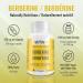Berberine Supplement - Premium 550 mg Capsules 1100 mg Daily - Lipid Metabolism Heart and Cardiovascular Health for Men and Women - Non-GMO Third-Party Tested Made in Canada - Nutritionn - Buy Online on GoSupps.com