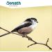 Buy DONATH BOO Organic Energy Dumplings for Wild Birds - 6 Meisenkn del (100g Each) - Premium All-Year Fat Food - Made in Southern Germany - 6-Pack Cardboard - Buy Online on GoSupps.com