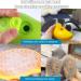 Steamy Cat Brush 3 In1 Cat Steam Brush Pet Hair Cleaner Brush Self Cleaning Steam Brush Cat Steamer Brush Massage Cat Hair Brush for Removing Tangled Loosse Hair for Home (C) - Buy Online on GoSupps.com