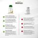 Fairvital | Propolis Extract 500mg - 60 Capsules - 1000mg per daily dose - normalized to 3% galangin - natural propolis - Buy Online on GoSupps.com