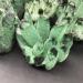 Natural Green Ghost Crystals Cluster Rock Quartz Minerals Rough Stones Home Decoration Suitable for Furniture Decoration Full of Texture (Size : 400-500g) - Buy Online on GoSupps.com