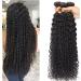 10A Water Wave Human Hair Bundles with 4x4 Lace Closure - Natural Black, Wet and Wavy Hair Extensions - 10 12 14 with Free Part Closure Included - Buy Online on GoSupps.com