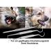 Stainless Steel Pet Dental Care Set | Tartar Scratches Dog & Cat Tooth Cleaner | Mini Toothpick for Rodents - Buy Online on GoSupps.com