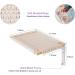 BEBOBLY Floating Cat Wall Shelves and Perch | Modern Hanging Hammock Bed for Indoor Cats | Wall Mounted Kitten Furniture for Sleeping and Playing - Buy Online on GoSupps.com