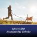 Canosept Joint Tablets for Dogs - Unique Formula with Green Lipped Mussel Glucosamine & Omega 3 - 80 Tablets for Joint & Bone Health Osteoarthritis Relief - Buy Online on GoSupps.com