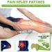 Pain Relief Patch - 20Pcs | Fast-Acting Knee & Joint Pain Relief | Arthritis Support | Muscle Soreness Relief - Buy Online on GoSupps.com