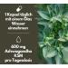 Buy Bio Ashwagandha KSM-66 - 600mg Vegan Capsules 180 Count - Premium Indian Sleep Berry Laboratory Tested Made in Germany - Buy Online on GoSupps.com
