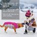 Kuoser Waterproof Dog Coat - Winter Jacket for Small & Medium Dogs | Cozy Fleece-Lined Reflective Vest - XL Pink - Buy Online on GoSupps.com
