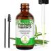 Rosemary Oil for Hair Growth - 100% Pure Natural Essential Oil (2 Pack) | Nourishes Scalp & Stimulates Hair Growth for All Hair Types | 60ml Each - Buy Online on GoSupps.com