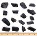 Dancing Bear Black Tourmaline Crystals Bulk - 1/2 lb Medium Pieces with Selenite Stick & Info Cards - Rough Raw Natural Stones for Good Vibes - Reiki Energy - Made in USA - Buy Online on GoSupps.com