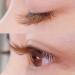 DAODER Brown Cat Eye Wispy Mink False Eyelashes - 10 Pairs Pack for Natural Long Fluffy Volume | Brown Lashes - Buy Online on GoSupps.com