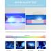 Buy Lanomi Retro Cat Eye Reading Glasses with Blue Light Filter - Flexible Spring Hinge 1.0 to 4.0 Diopters - Stylish Visual Aid for Women & Men - Buy Online on GoSupps.com