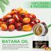 100% Pure Batana Oil for Hair Growth - Dr Sebi Organic Oil from Honduras | Prevent Hair Loss & Promote Thickness for Men & Women - 4.2 oz - Buy Online on GoSupps.com