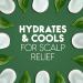 Head & Shoulders Tea Tree Oil Shampoo 370ML 370 ml (Pack of 1) - Buy Online on GoSupps.com
