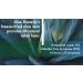 Maximum Strength Aloe Remedy Freeze-Dried Aloe Vera Capsules for IC & BPS - 180 Capsules (60 Days) - Buy Online on GoSupps.com