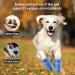 SINCIYA Dog Rain Boots - Waterproof Anti-Slip Shoes with Adjustable Straps, Small Blue - 4PCS Outdoor Booties with Rugged Rubber Sole - Buy Online on GoSupps.com