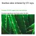 priming water Non-nano sun protection Dr. Orga Premium Sun Protection Cream (SPF50+ PA+++) 1.01 FL.OZ. - Buy Online on GoSupps.com