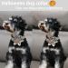 Aring Pet Halloween Dog Collar - Adjustable Blue Pumpkin Design with Flower XL for Jumping Beasts & Puppies - Buy Online on GoSupps.com