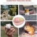 POPETPOP Ceramic Hamster Feeding Bowls Strawberry Pattern Hamster Food Bowl for Guinea Pig Rodent Rat Gerbil Cavy (random color) - Buy Online on GoSupps.com