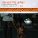 Buy Iokheira 15m Drag Line for Dogs | Training Leash with 360 Carabiner & Hand Loop - Reflective Orange - Perfect for Large & Small Dogs - Buy Online on GoSupps.com