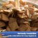 Cinnamon Toast Crunch Cereal 49.5 oz - Deliciously Crunchy Breakfast Treat - Buy Online on GoSupps.com