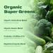 DSDD Organic Super Greens Powder for Intestinal Health, Superfood Greens with Probiotics, Moringa, Spirulina,Gluten Free Supergreens for Boosting Energy,Bloating Relief for Women 40 Servings - Buy Online on GoSupps.com