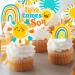 Here Comes the Sun Cupcake Toppers 48Pcs Sunshine Party Cupcake Picks Sun Themed Birthday Party Decorations Here Comes the Son Cake Picks for Sunshine first Baby Shower Supplies - Buy Online on GoSupps.com