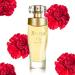 Zermat Perfume for Women Status Floral - Floral Scent 2.02 Fl. Oz - Buy Online on GoSupps.com