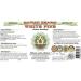 White Pine Liquid Extract - Alcohol-Free Glycerite Supplement - 2 fl.oz - Hawaii Pharm USA - Buy Online on GoSupps.com