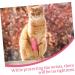DECHOUS 30 Rolls Sports Wrap Pet Bandages for Dogs & Cats - Non-Woven Fabric Gauze - Ideal Ankle & Wrist Tape for Sports Injuries - Buy Online on GoSupps.com