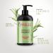 Mielle Organics Rosemary Mint Strengthening Shampoo and Conditioner with Biotin - Buy Online on GoSupps.com